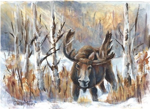 moose3