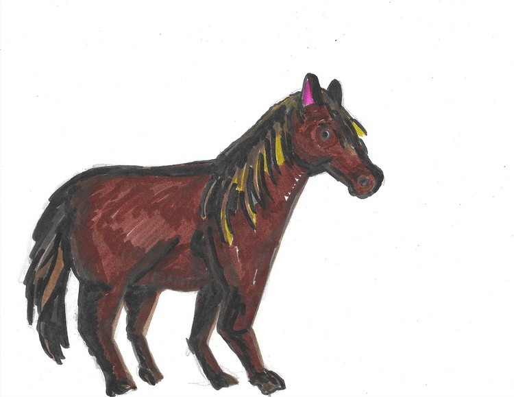 Horse