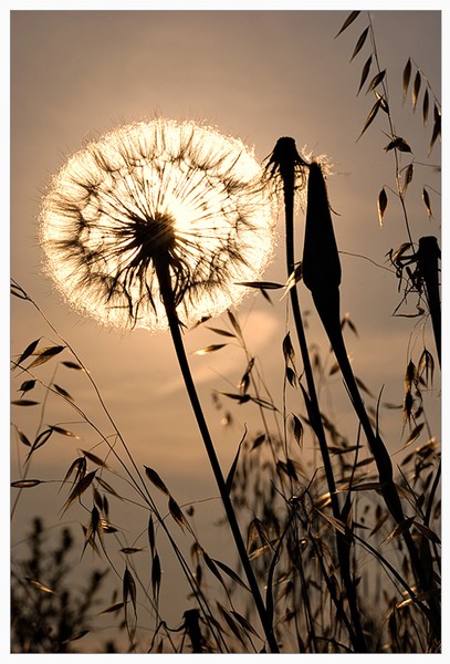 the sun inside