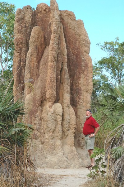 Giant Termite Mound By Ian Mckenzie 