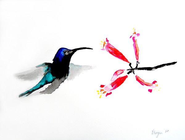 Hummingbird with Honeysuckle