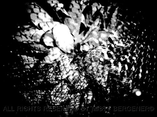 Bridal Bouquet II - Copy