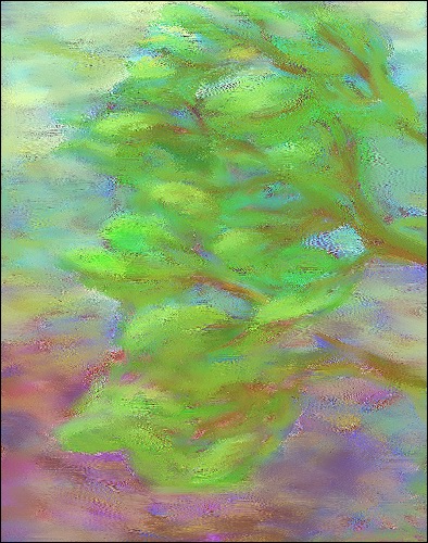 spring tree