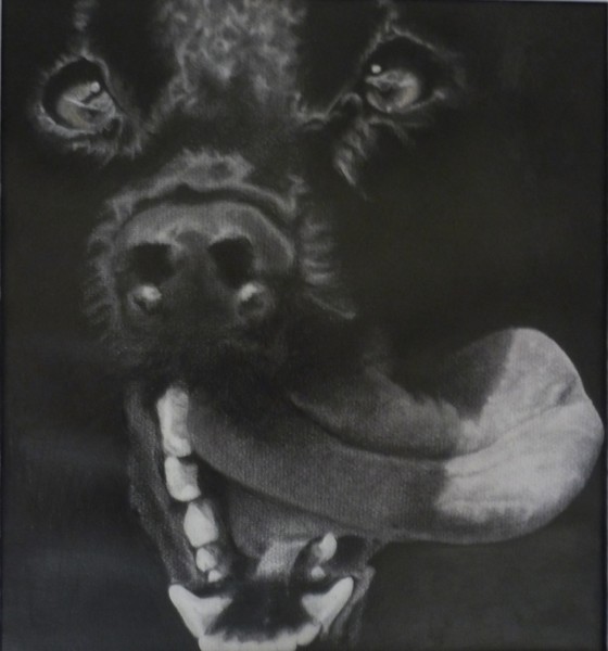 wolf dog