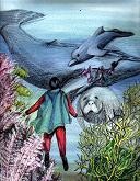 Timmy the Wonderboy, book illustration
