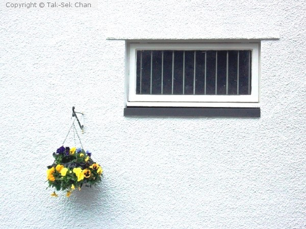 Flower Basket