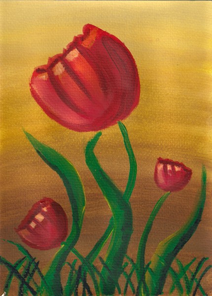 The Tulips