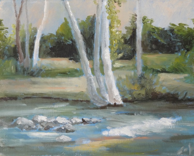 Summer Creek