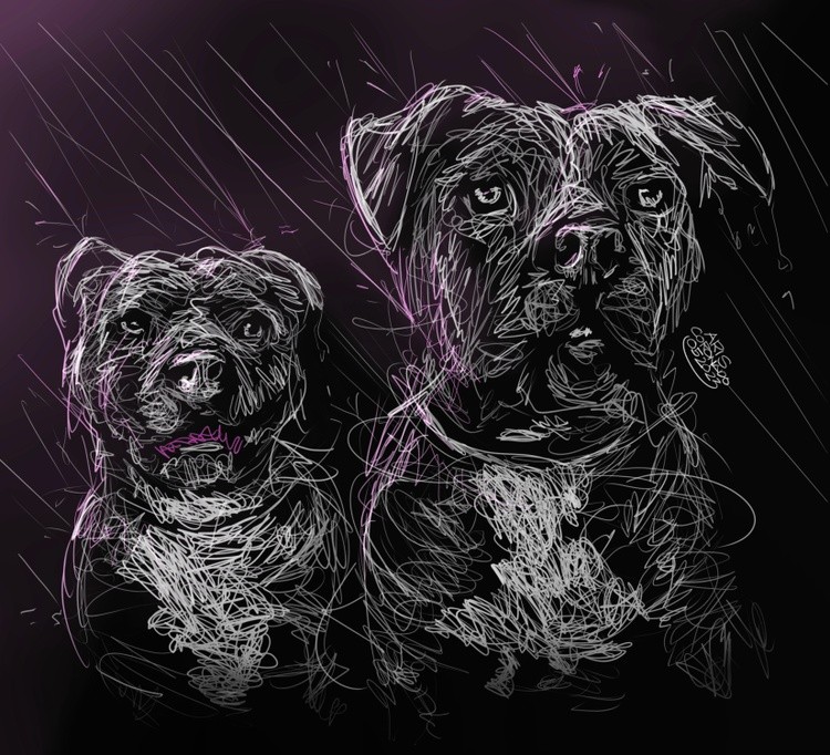 Scribble Art Portrait - MARSHALL and MILLIONS