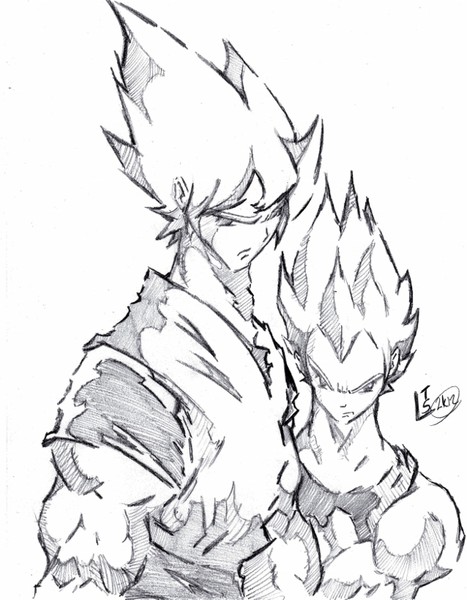 DBZ: Goku and Vegeta