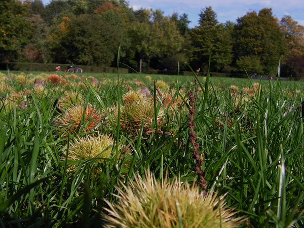 Autumn 07
