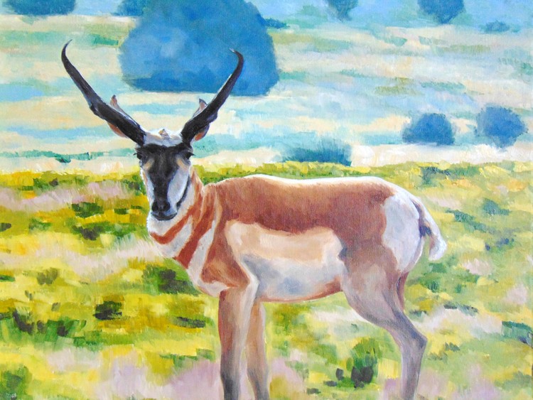 antelope 3