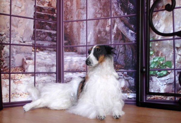 Borzoi