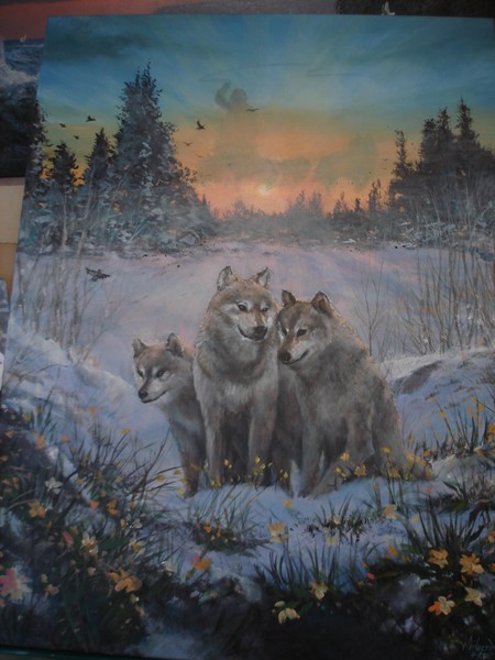 Sunset Winter Coats