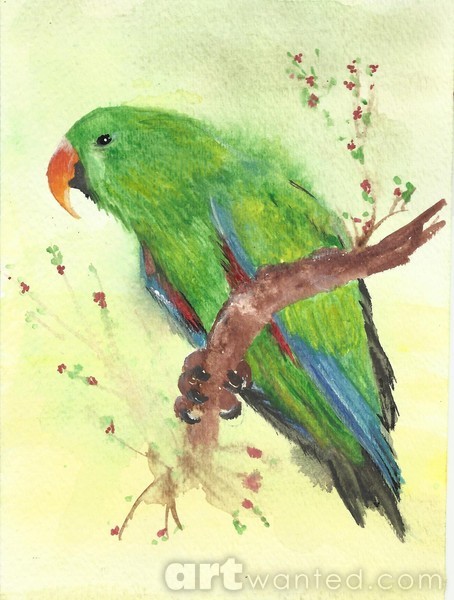 parrot 