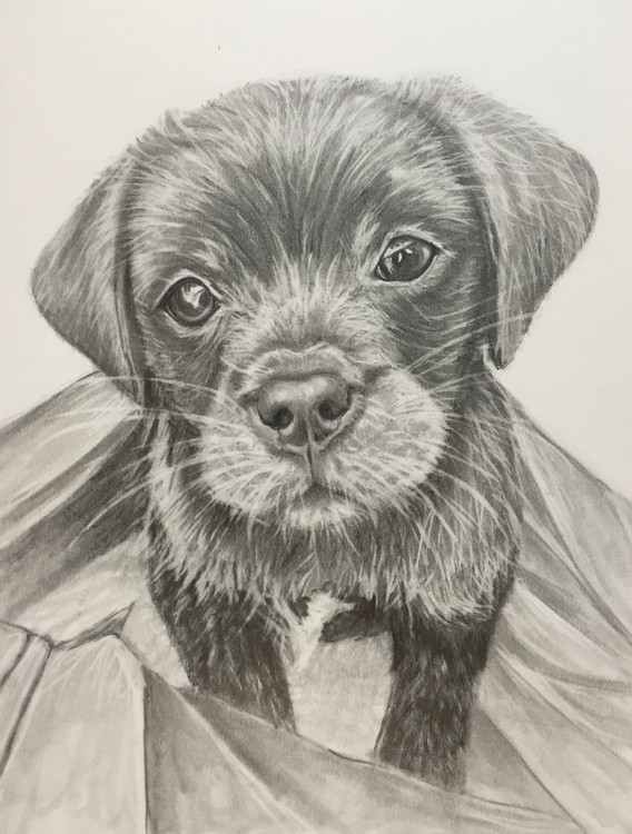 Jax