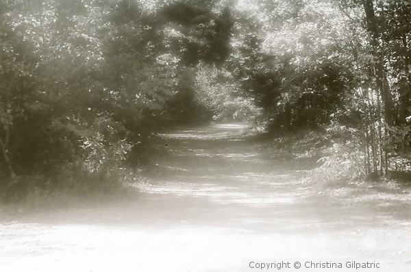 Peaceful Walk