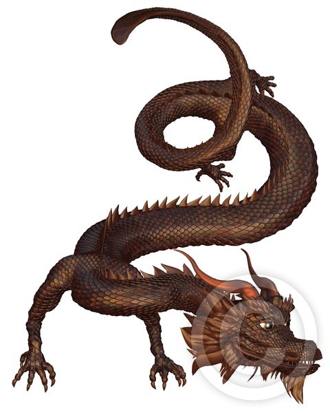 Chinese Bronze Dragon