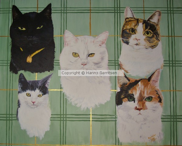 The five cats