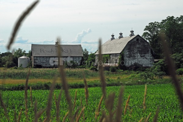 Half Moon Farm IV