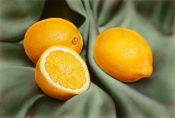 Still Life Lemons