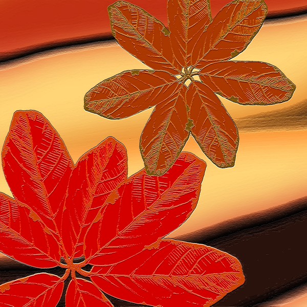 Abstract Leaf Petals