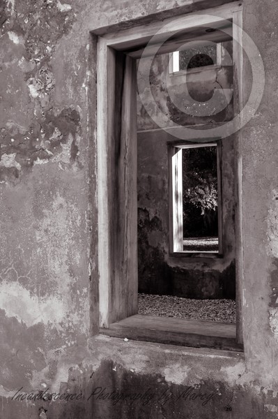 Window in Time