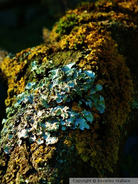 Small landscape