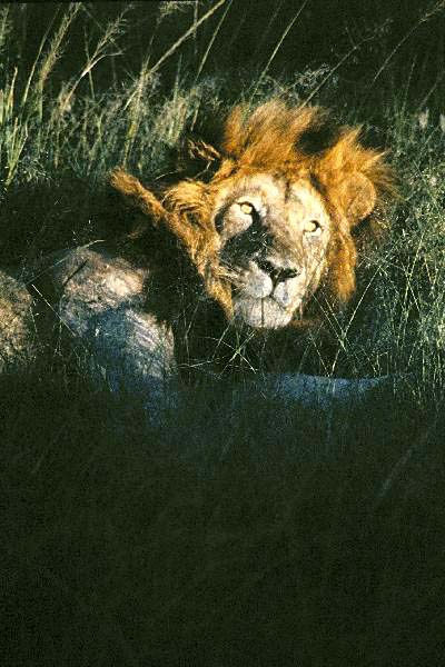 Rude awakening 