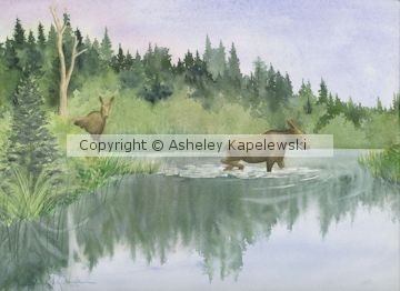 The Crossing