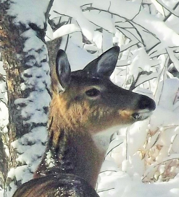 DSCF6080
