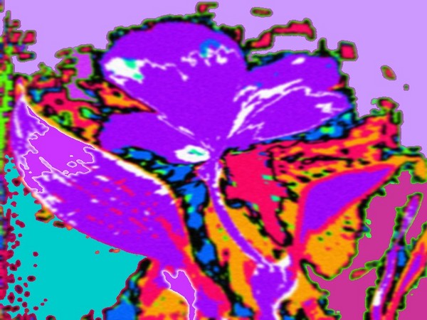 Flower Psychedelic