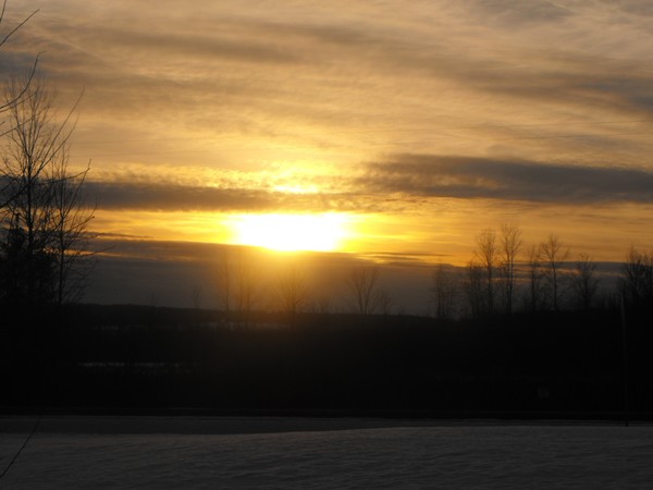 DSCF7486