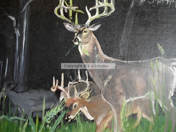 whitetail feeding