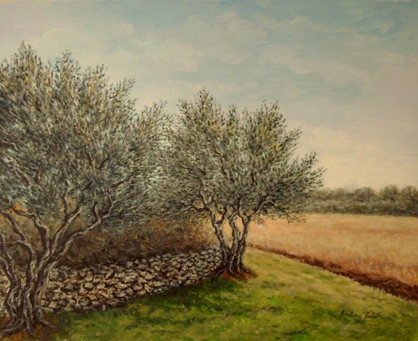 Olive trees