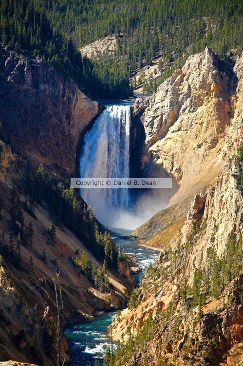 Yellowstone Falls