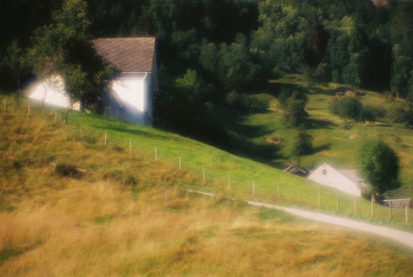The House On The Hill