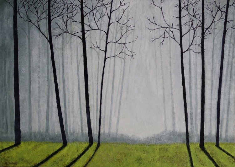 The Misty Forest