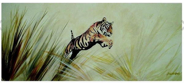 Tiger collection 1