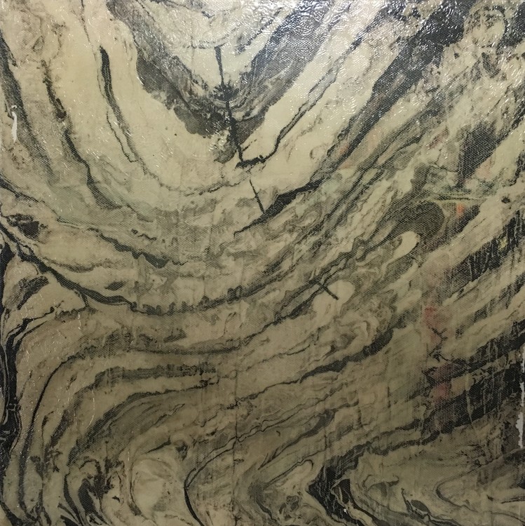 Raw Zebra Hide