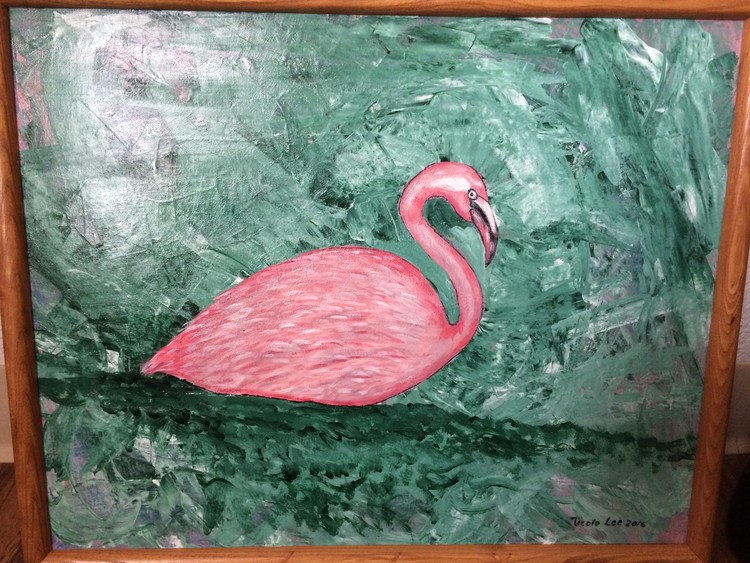 Flamingo Cruise