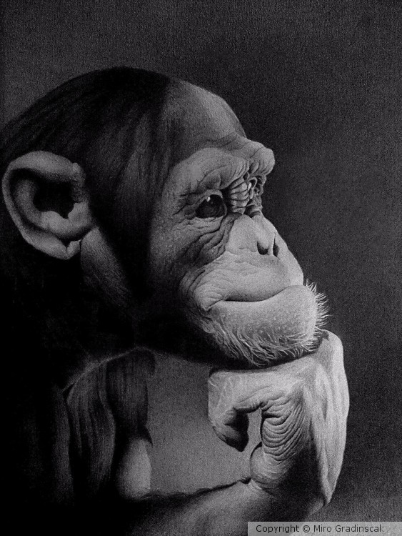 THE THINKER