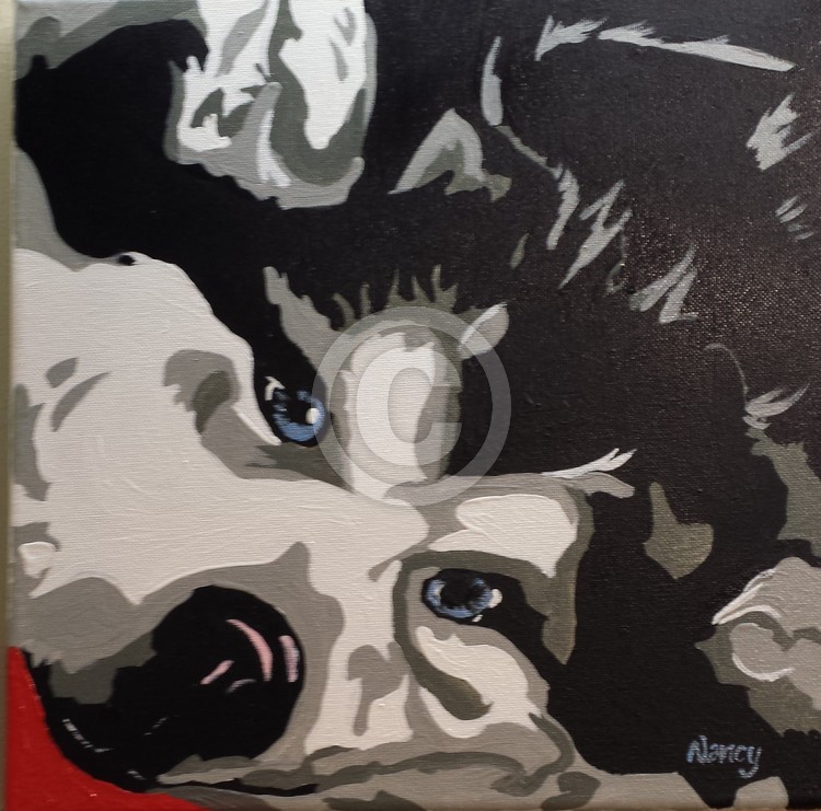 Huskie