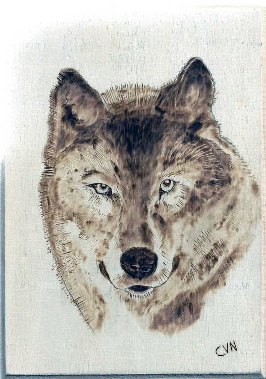 WOLF A