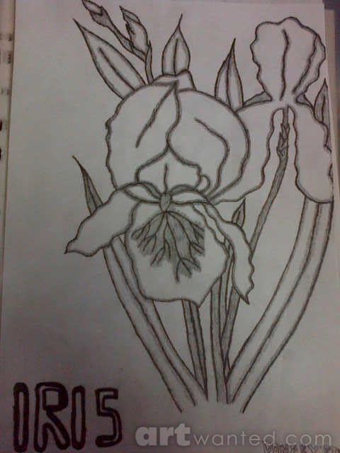 A8isGNsSeyNnHLzYFxIy