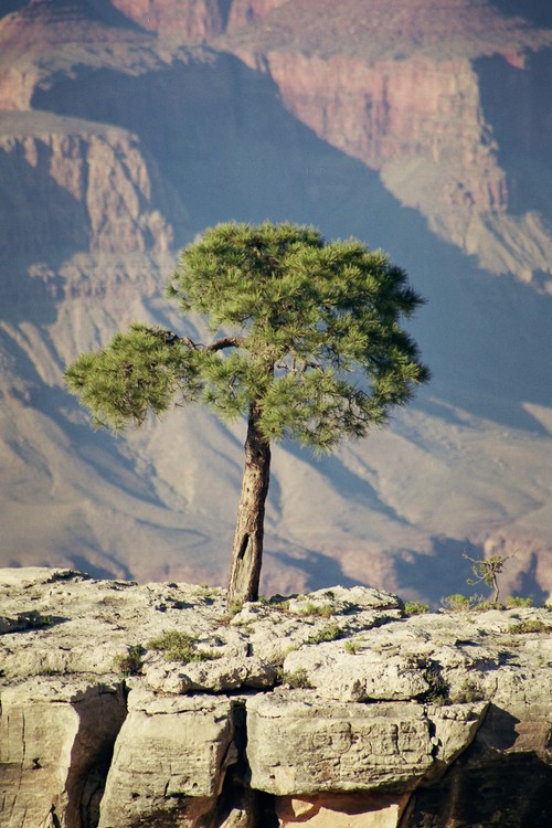 Standing Alone