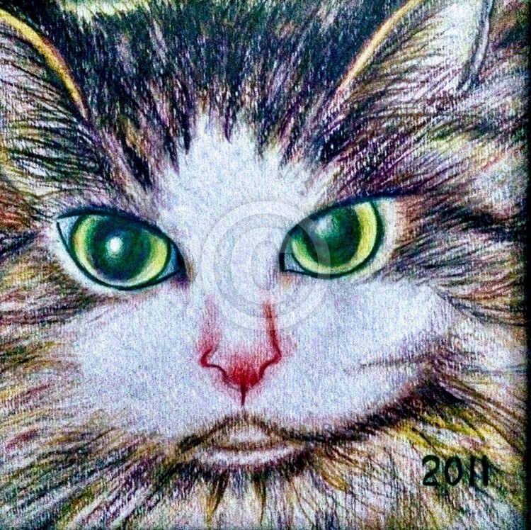 Colored pencil 