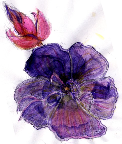 Princess Flower Watercolor