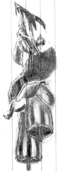Pristine Penstemon Sketch