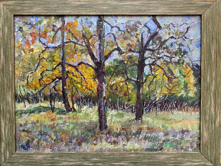 Kojori Forest in October